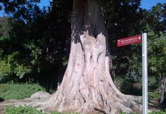 その他 4 Apartamentos Murallas De Sevilla