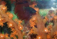 Others 3 Hotel Francisco Javier