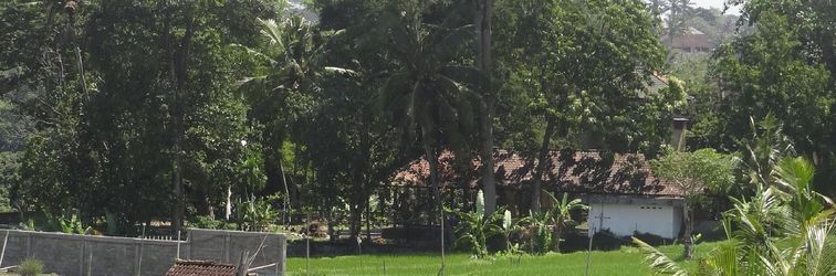 其他 Hibiscus Cottages