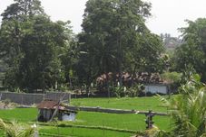 其他 Hibiscus Cottages