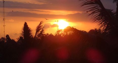 其他 2 Hibiscus Cottages