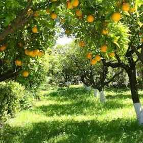 Casa de Orange 1, Hotel Alcaucín