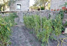 其他 2 La Demba Art-Hotel