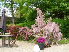 Others 4 Le Relais De Chasse