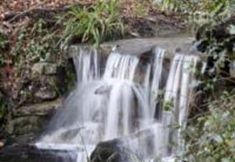 その他 6 Bath Lodge Castle