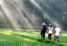 Others 2 Jiwa Klusa Luxury Villa