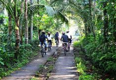 Others 4 Jiwa Klusa Luxury Villa