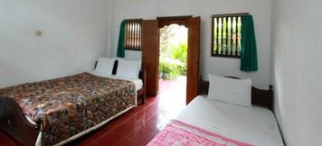 Others 4 Citrus Tree Rooms - Hutama