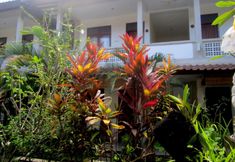 Others 3 Casa Ganesha Hotel