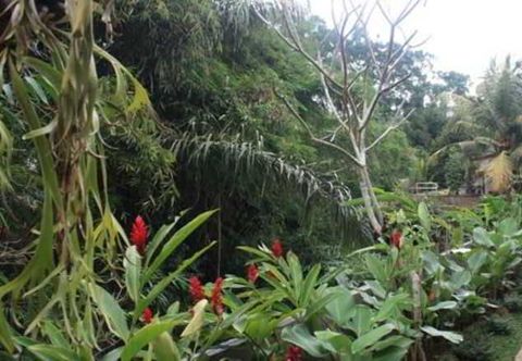 พื้นที่สาธารณะ Citrus Tree B&B - Widia