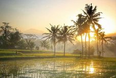 Others Villa Puri Darma Agung