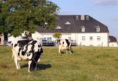 其他 3 Hotel Cornelyshaff