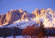 其他 2 Hotel Prealpi