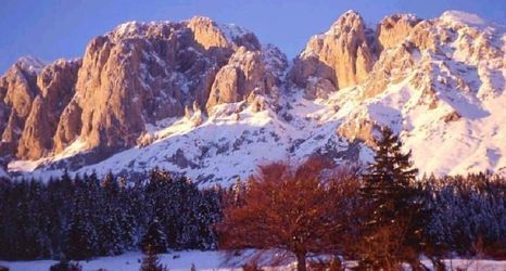 其他 2 Hotel Prealpi