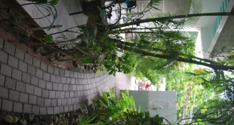 Others 2 Roxon Apartments