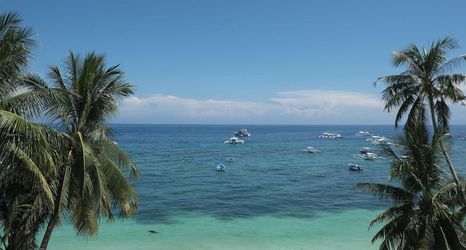 その他 2 Baywatch Dive Resort