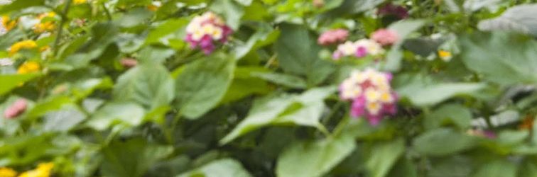 Khác Pinoy Pamilya Hotel