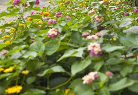 Khác Pinoy Pamilya Hotel