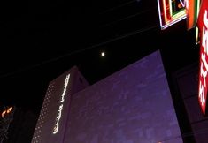 Others 2 Hotel Cats Suwon