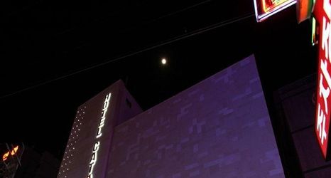 Others 2 Hotel Cats Suwon