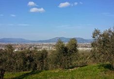 Others 4 Le Contesse