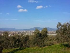 Others 4 Le Contesse