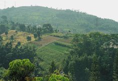 その他 3 Elok Villa 4 Bedrooms With A Private Pool