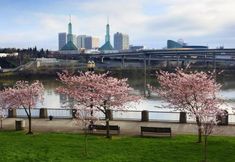 Others 2 Silver Cloud Inn Portland