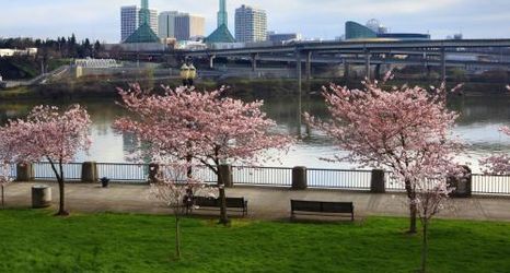 Others 2 Silver Cloud Inn Portland