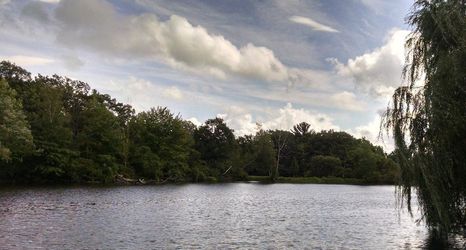 其他 2 The Bavarian Manor Hotel