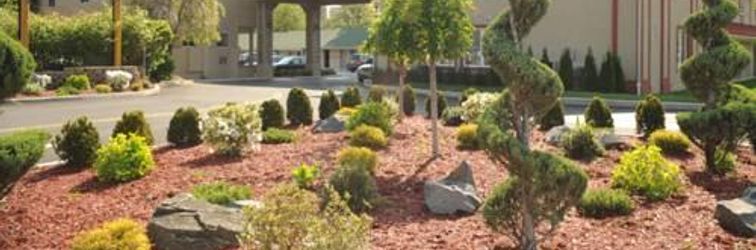 其他 Skyview Motel