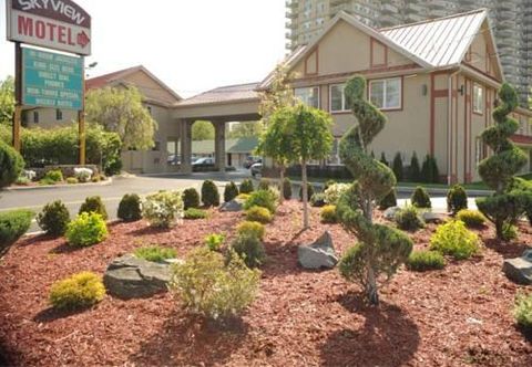 其他 Skyview Motel