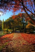 其他 4 Talaris Conference Center