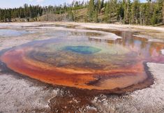 อื่นๆ 5 Grandma's Cabin