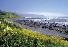 Others 5 Redwood Suites