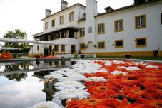 其他 Herdade Da Agolada De Cima