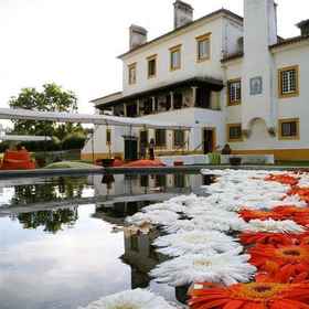 Herdade Da Agolada De Cima1 , 飯店圣塔伦区