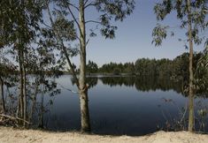 其他 2 Herdade Da Agolada De Cima