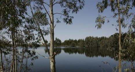 其他 2 Herdade Da Agolada De Cima