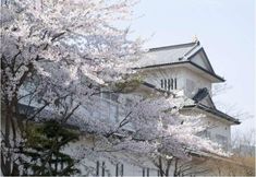 其他 2 Akiu Grand Hotel