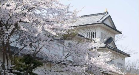 其他 2 Akiu Grand Hotel