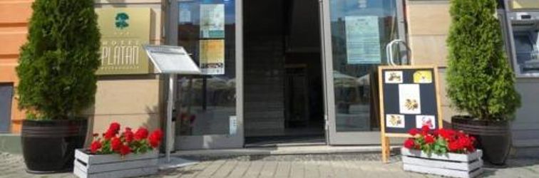 其他 Hotel-Restauracja Platan