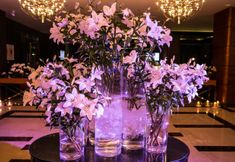 其他 6 GrandHotel Tiffi