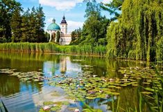 기타 6 Zamek w Krasiczynie