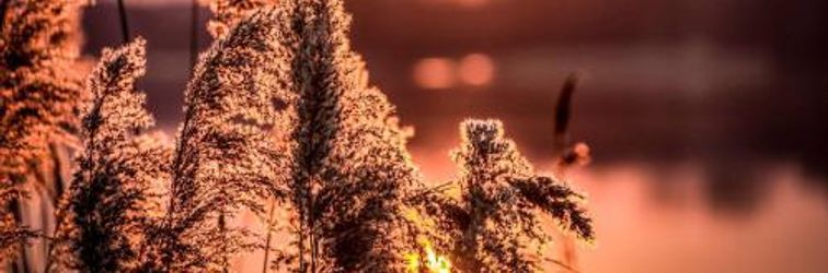 其他 Hotel Marina Club