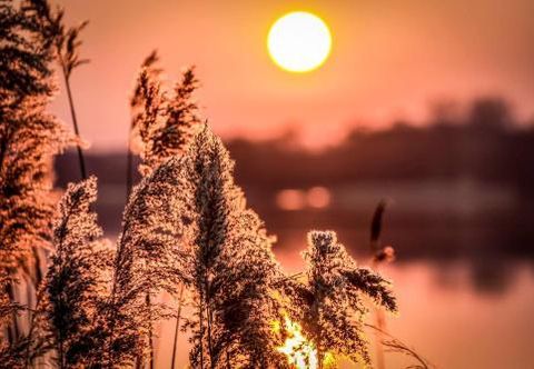 其他 Hotel Marina Club