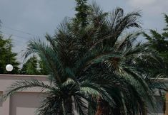 Others 6 Yayoba Hotel