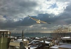 Khác 2 Stanpoli Hostel