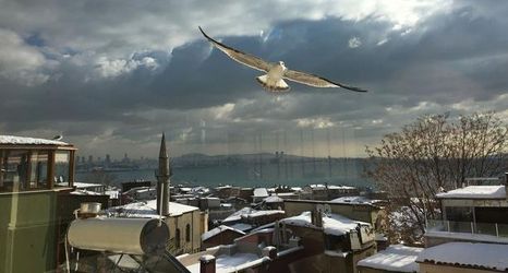 Khác 2 Stanpoli Hostel