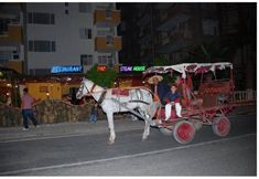 其他 4 Enver Bey Resort